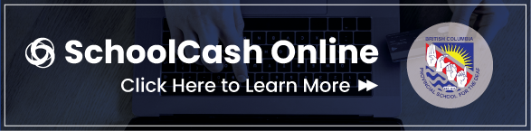 School-Cash-Online